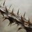 thorns_embrace